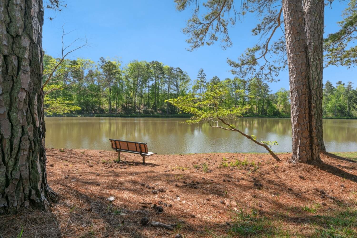 Lake Views