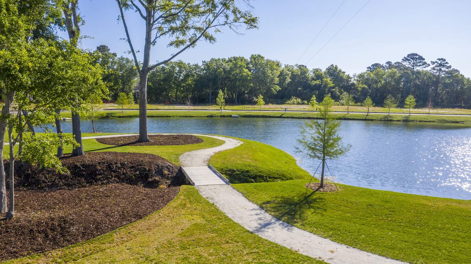Central Park